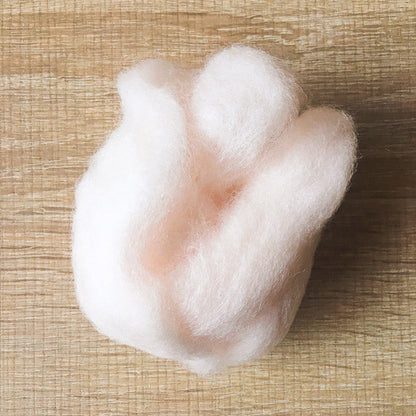 Needle felted wool felting White skin wool Roving for felting supplies short fabric easy felt