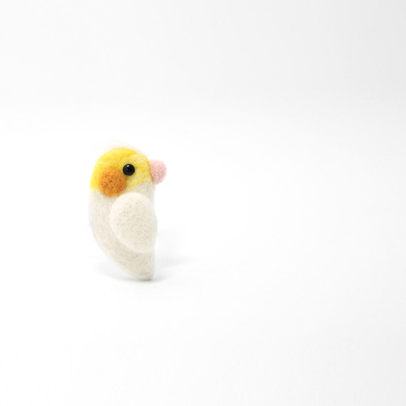 Needle Felted Felting project Animals Parrot Cute Brooch Jewelry