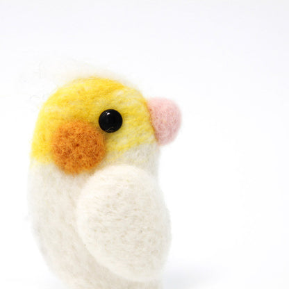 Needle Felted Felting project Animals Parrot Cute Brooch Jewelry